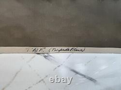 1945 WWII Military Plane Photo by Army Air Forces Restricted Official Photograph