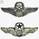 Command Pilot Wings Sterling Wwii Us Army Air Forces Badge 3 Size Josten #250