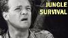 How To Survive In The Jungle Us Army Air Forces Training Film 1944
