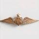 ORIGINAL WW2 US Army Pilots ATC (Air Transport Command) Wings