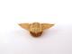 Original Pre-WWII US Army Air Force 1 Pilot Instructor Wings Lapel Pin Haltoms
