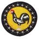 Original WWII US Army Air Force 19th Fighter Squadron Patch P94