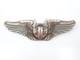 Original WWII US Army Air Force Air Gunner Wings 3 Sterling Silver Gemsco