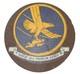 Original WWII US Army Air Force Airborne Troop Carrier Leather Sqdn Patch B28