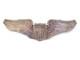 Original WWII US Army Air Force Pilot 3 Wings AmCraft Snowflake Back