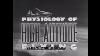 Physiology Of High Altitude Flying Wwii U S Army Air Force Pilot Training Film Hypoxia Xd48004