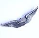 Sterling Wings WWII USAAF United States Army Air Force Pilot Pin