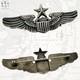 Sterling Wwii U. S. Army Air Corps Senior Pilot Wings 3-1/16 Size Meyer Ny #328
