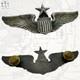 Sterling Wwii U. S. Army Air Corps Senior Pilot Wings 3 Size 24g. Ww2 #327