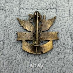 Vintage WWII Era Army Air Force Technical Representative Africa Badge Pin #65630