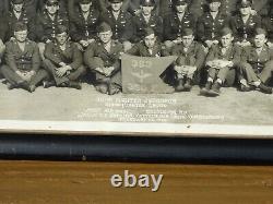 WW2 Army Air Force Yard long Photograph, 350th Fighter Squadron