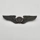 WW2 Observer Wings Army Air Force Badge Pin