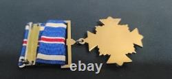 WWII Army Air Corp Distinguished Flying Cross Service Medal GS00936