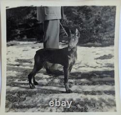 WWII Army Air Force Serviceman Photo Archive Barracks Laboratory Daily Life