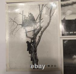 WWII Imperial Japanese Army Air Defense Photo Set AA Gun Searchlight 10