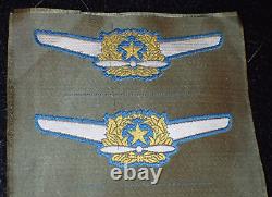 WWII Imperial Japanese Army Air Service Pilot Badge Wings Uncut Sheet of Four