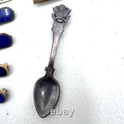 WWII USAAF U. S. Army Air Force Pilot Flight Wings Ribbon Bars Various Pins LOT