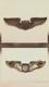 WWII US ARMY AIR FORCES PILOT WINGS FOX Hallmark 3 Clutchback