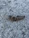 WWII US Army Air Force 3 Sterling Silver Amcraft Snowflake Observer Wings Pin