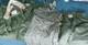 WWII US Army Air Forces Type F-3 Electric Heated Flight Trousers & Parka LOT