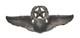WWII US Army Air Forces USAAF Command Pilot Badge Wings Pin JOSTEN Sterling CA14