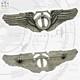 Wwii U. S. Army Air Corps Technical Observer Wings 3-1/8 Amcraft Starburst Ww2