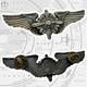Wwii Us Army Air Corps Flight Engineer Wings Badge Insignia 3 Size #378